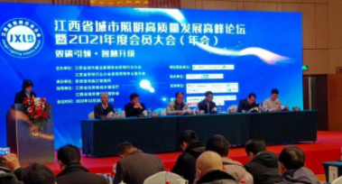 开云手机·(中国)官方网站受邀参加江西省城市照明高质量发展高峰论坛
